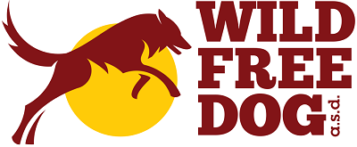 WILD FREE DOG